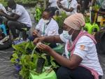 Two female participants of the 14th Cashew Master Training program grafting cashew seedlings